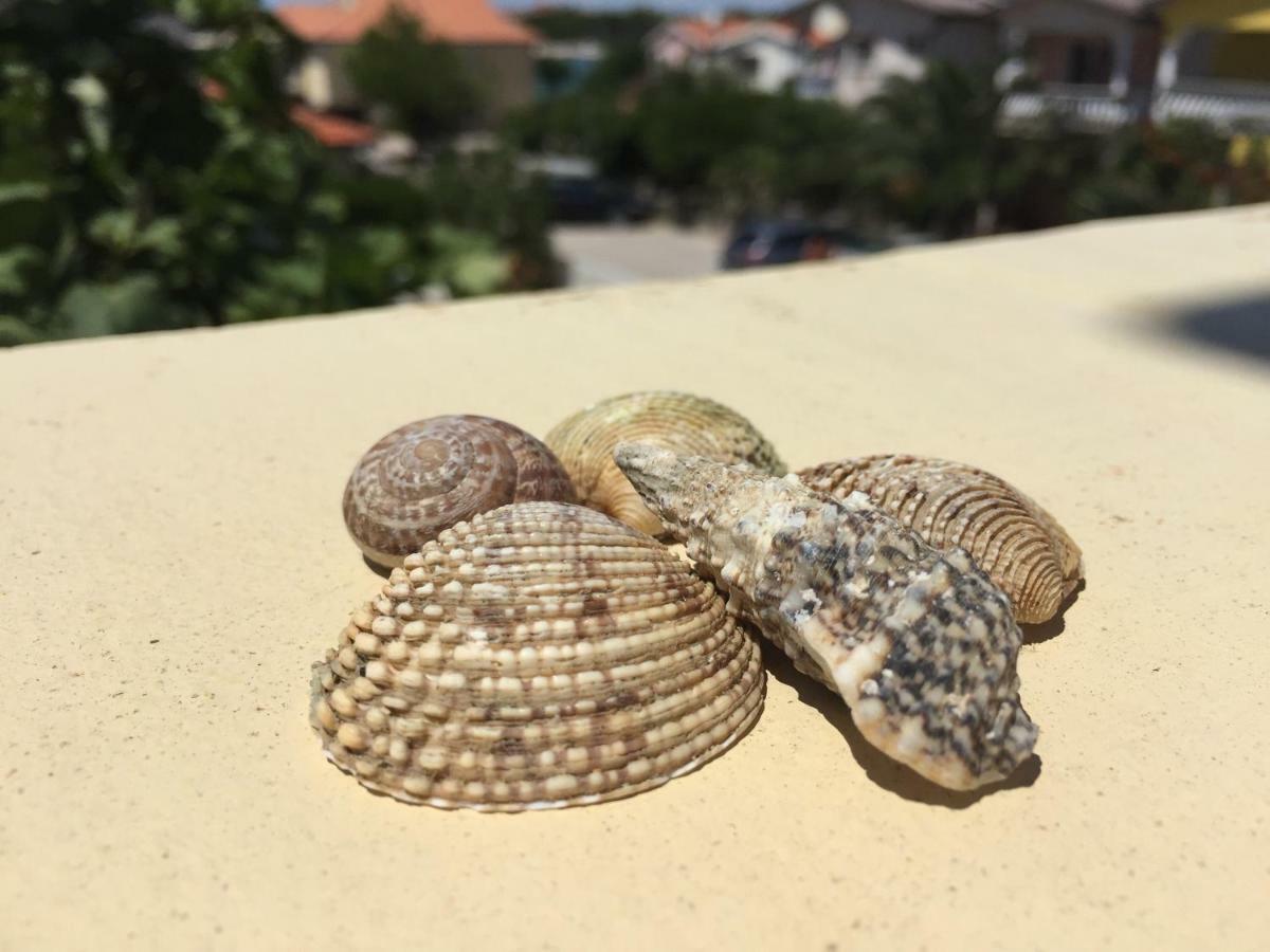 Apartment Vila Lina Vir Εξωτερικό φωτογραφία